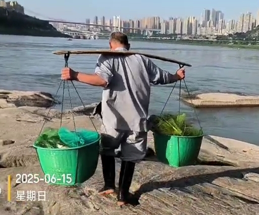 重庆放生：2025年6月15号放生现场图