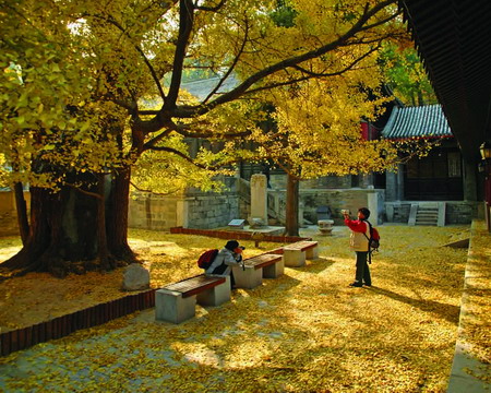 海淀大觉寺