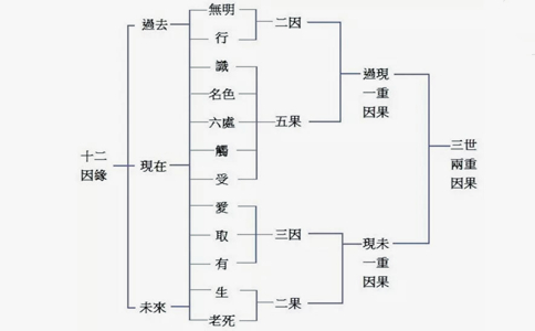 佛教的十二因缘是什么？